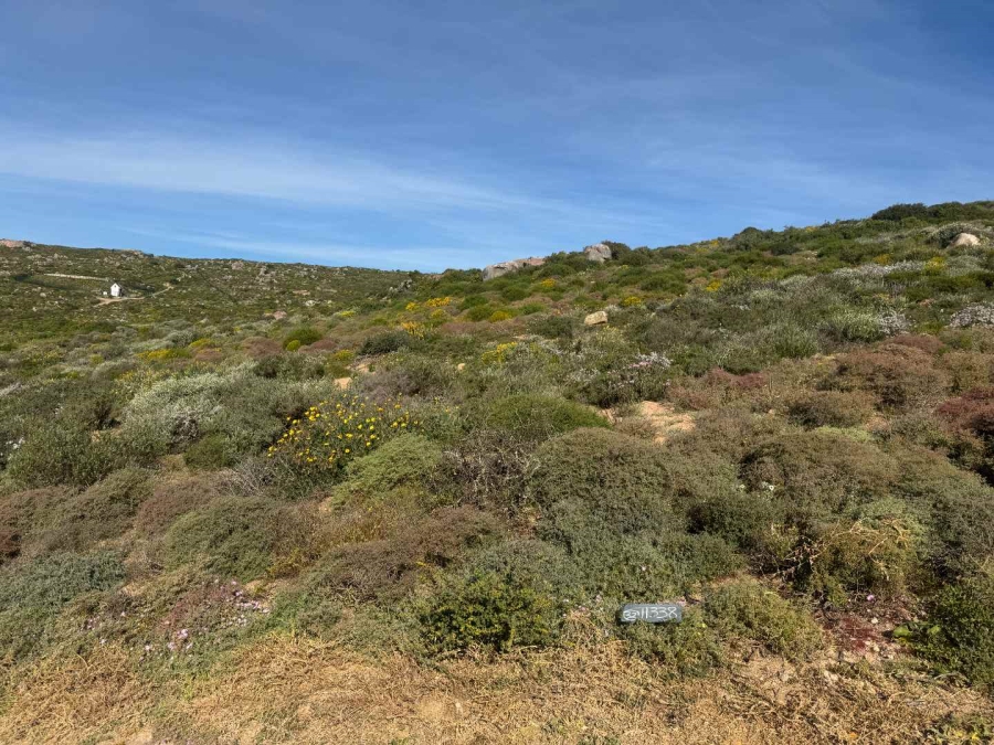 0 Bedroom Property for Sale in St Helena Bay Western Cape